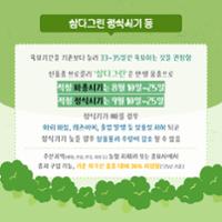 브로콜리 삼다그린 (5).jpg