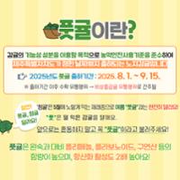풋귤 생산 및 출하 (2).jpg