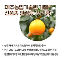 47.1분뉴스_제주신품종만감류우리향본격출하 2.jpg