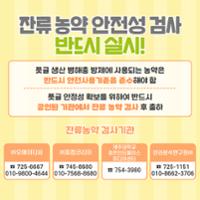 풋귤 생산 및 출하 (4).jpg