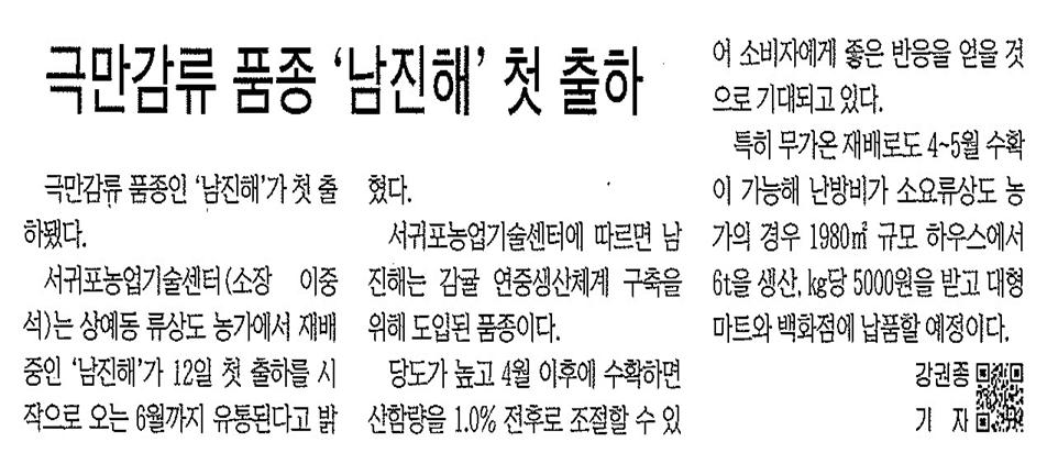 극만감류품종'남진해' 첫 출하(제민일보.2013.04.13)