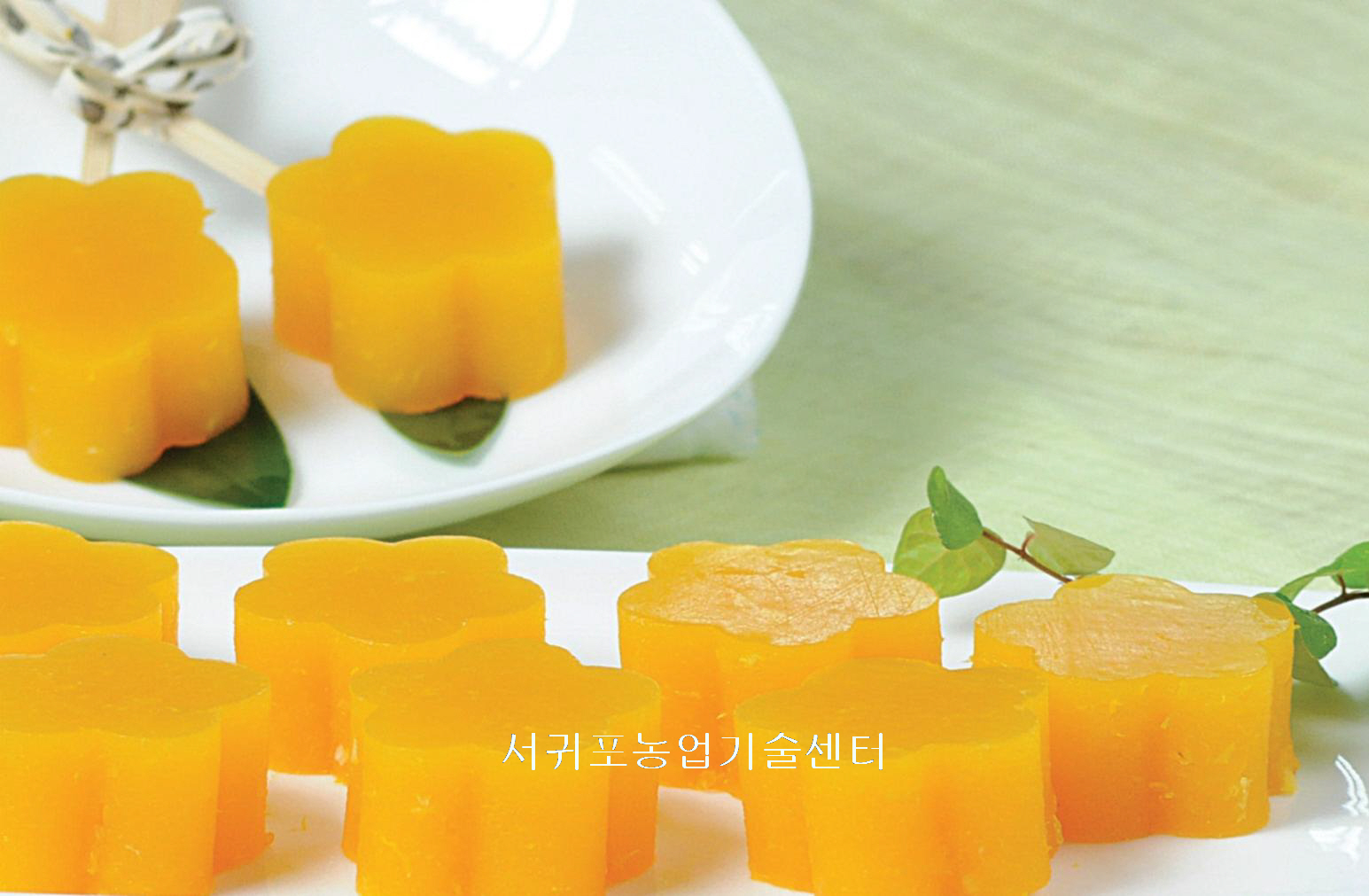 [감귤젤리]