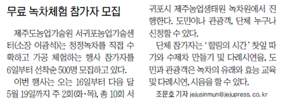 무료 녹차체험 참가자 모집 [제주일보- 2015.4.6.]