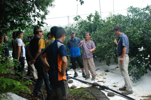 고품질노지감귤연구회 연찬회 결과