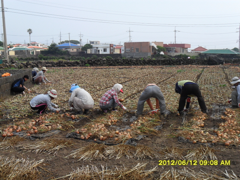 2012년 영농기 농촌 일손돕기