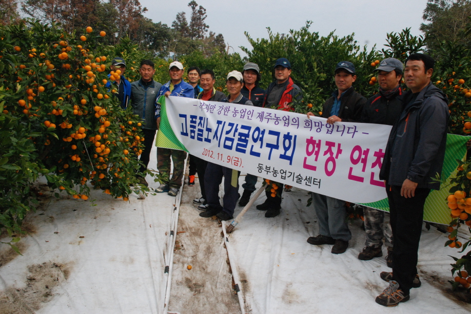 고품질노지감귤연구회 현장연찬 
