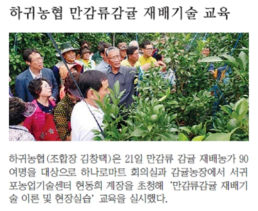 하귀농협 만감류감귤 재배기술 교육 [한라일보-2015.7.23.]