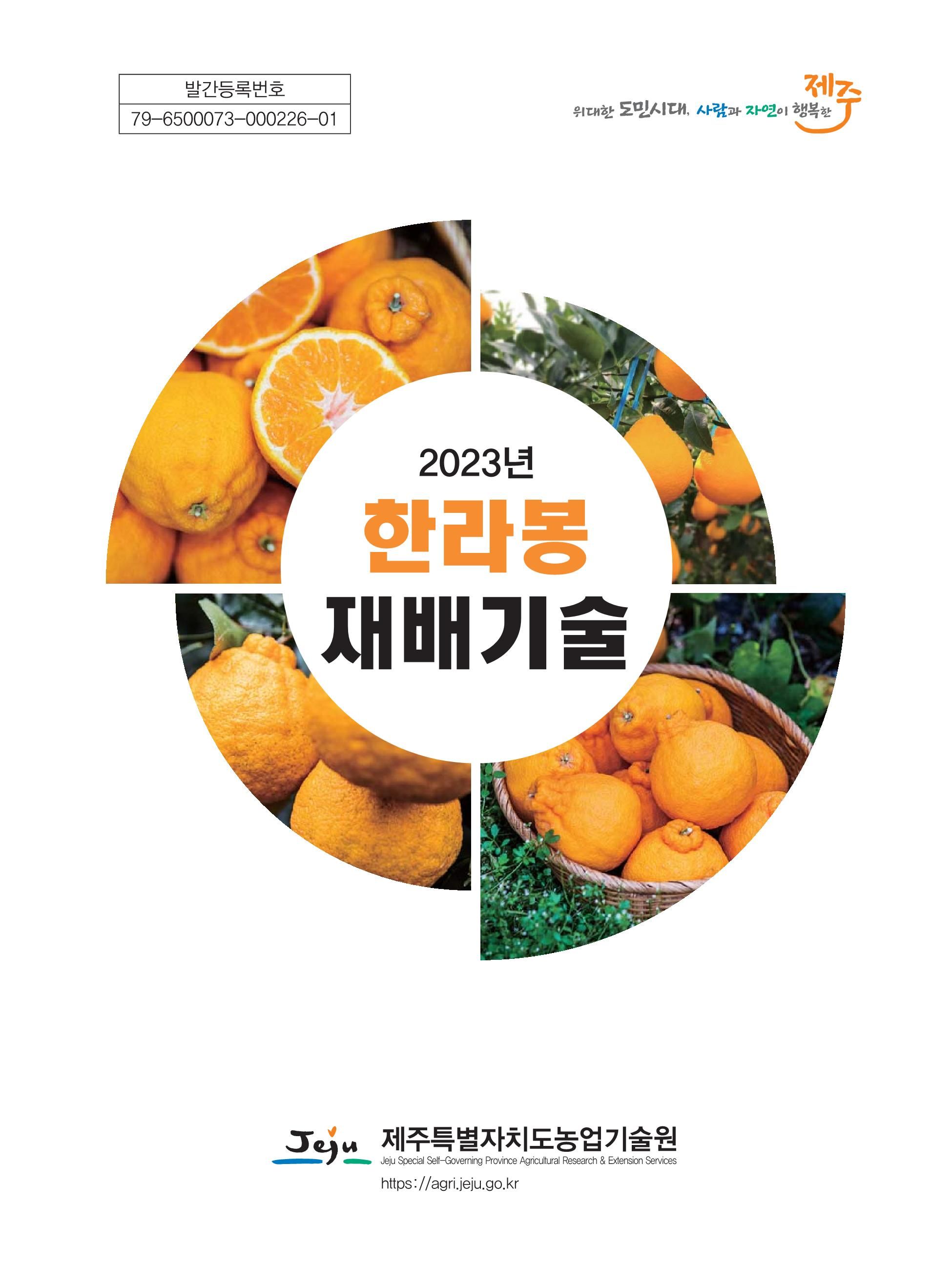 2023 한라봉 재배기술