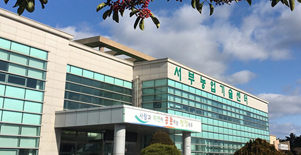 본관